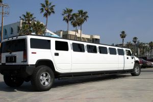 Limousine Insurance in Magnolia, Montgomery County, The Woodlands, TX.